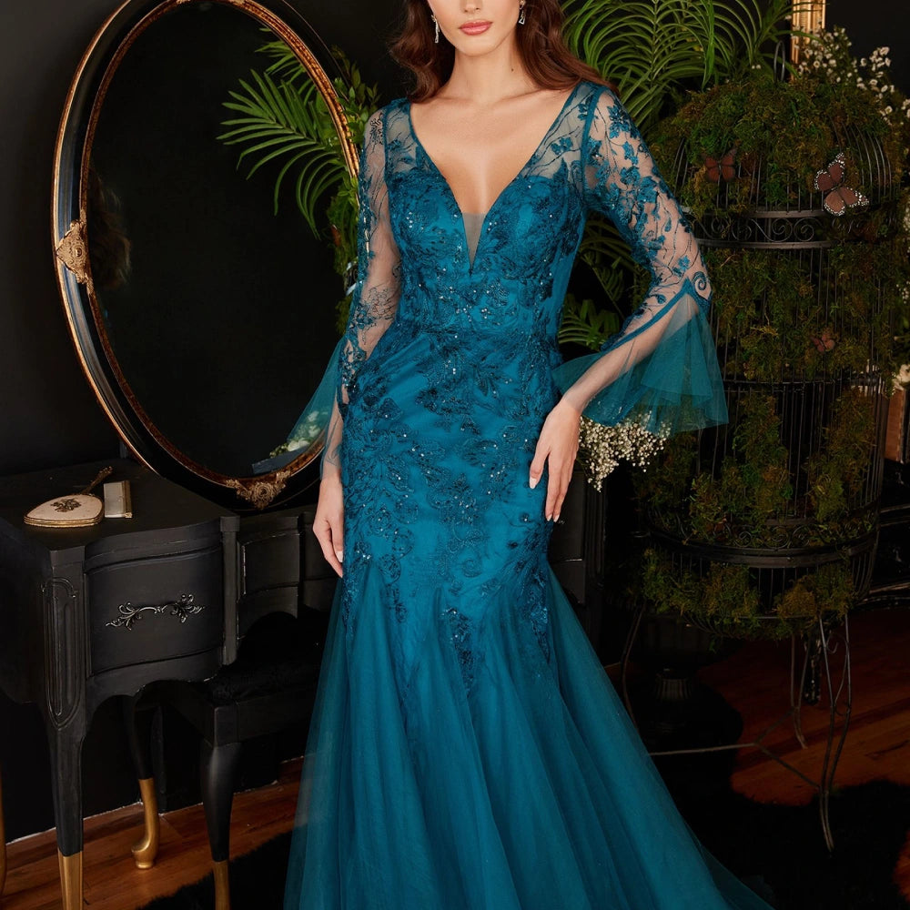 Plus Size Prom Dresses with Sleeves