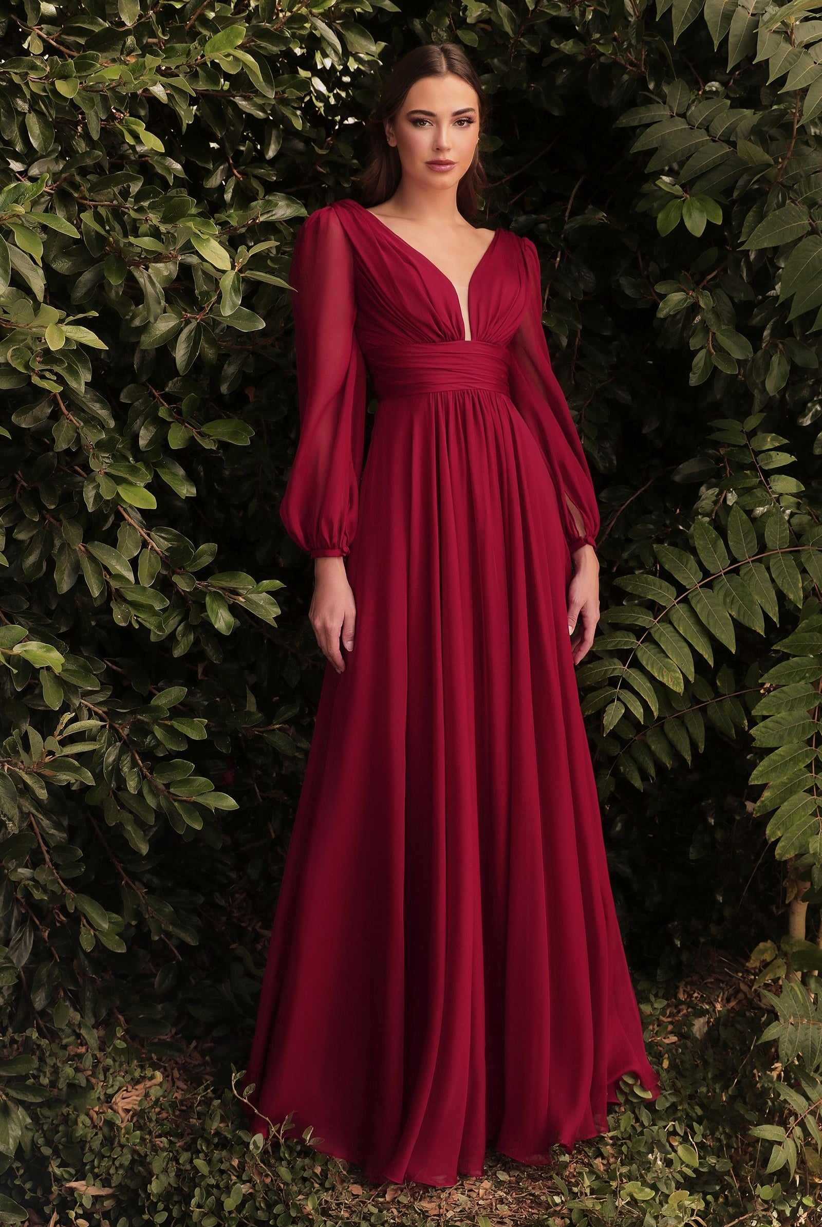 Chiffon Long Sleeve Dress-smcdress