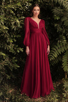 Chiffon Long Sleeve Dress-smcdress