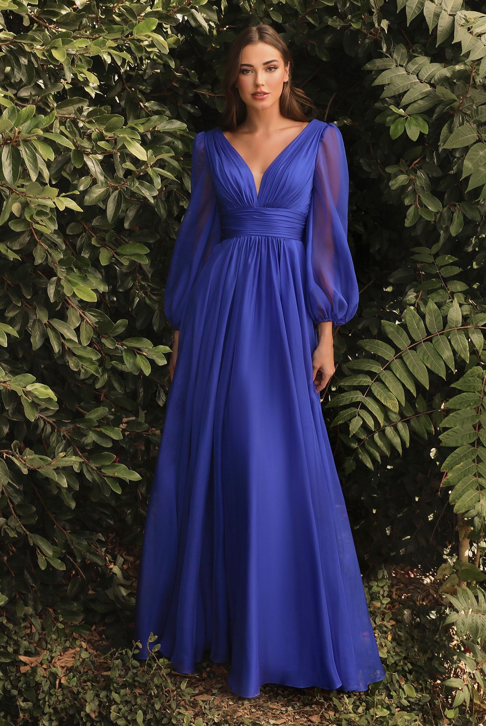 Chiffon Long Sleeve Dress-smcdress