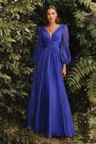 Chiffon Long Sleeve Dress-smcdress