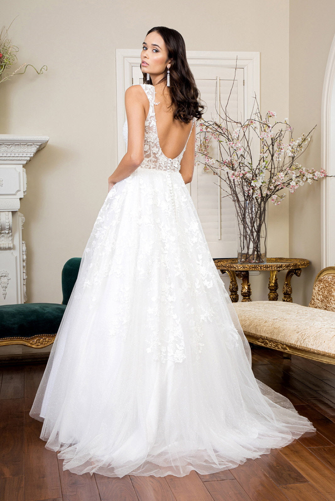 Back of A-Line V-neck Wedding Dress