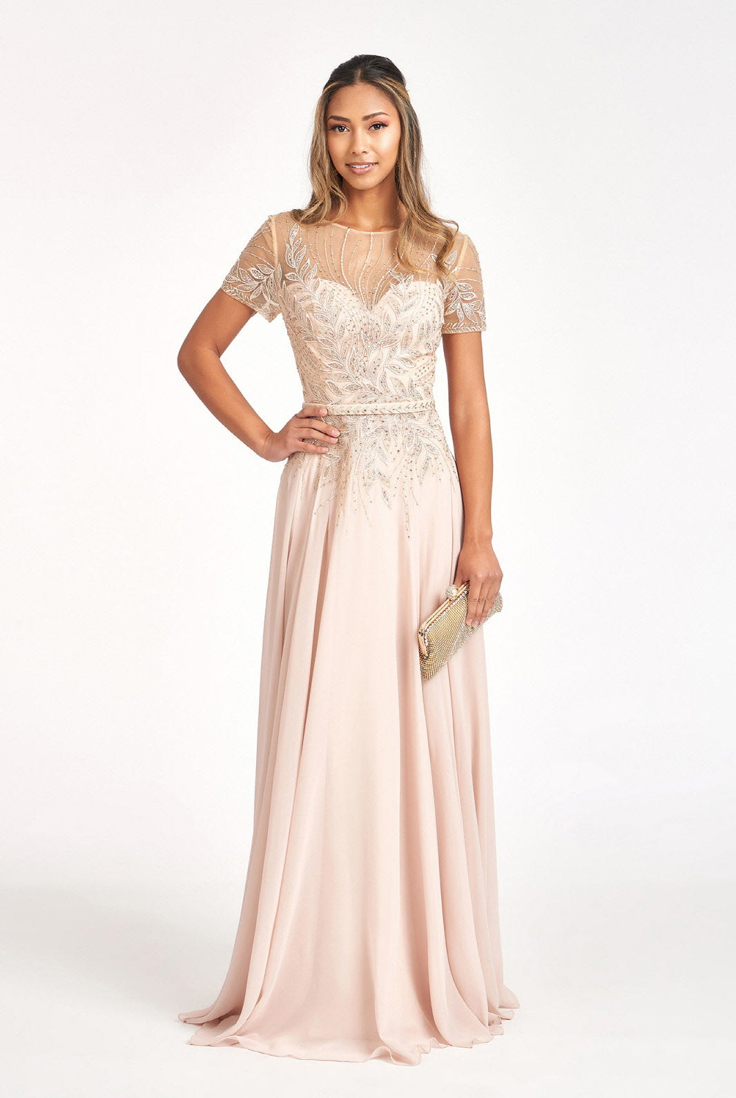 Embroidered Chiffon A-line Dress-smcdress