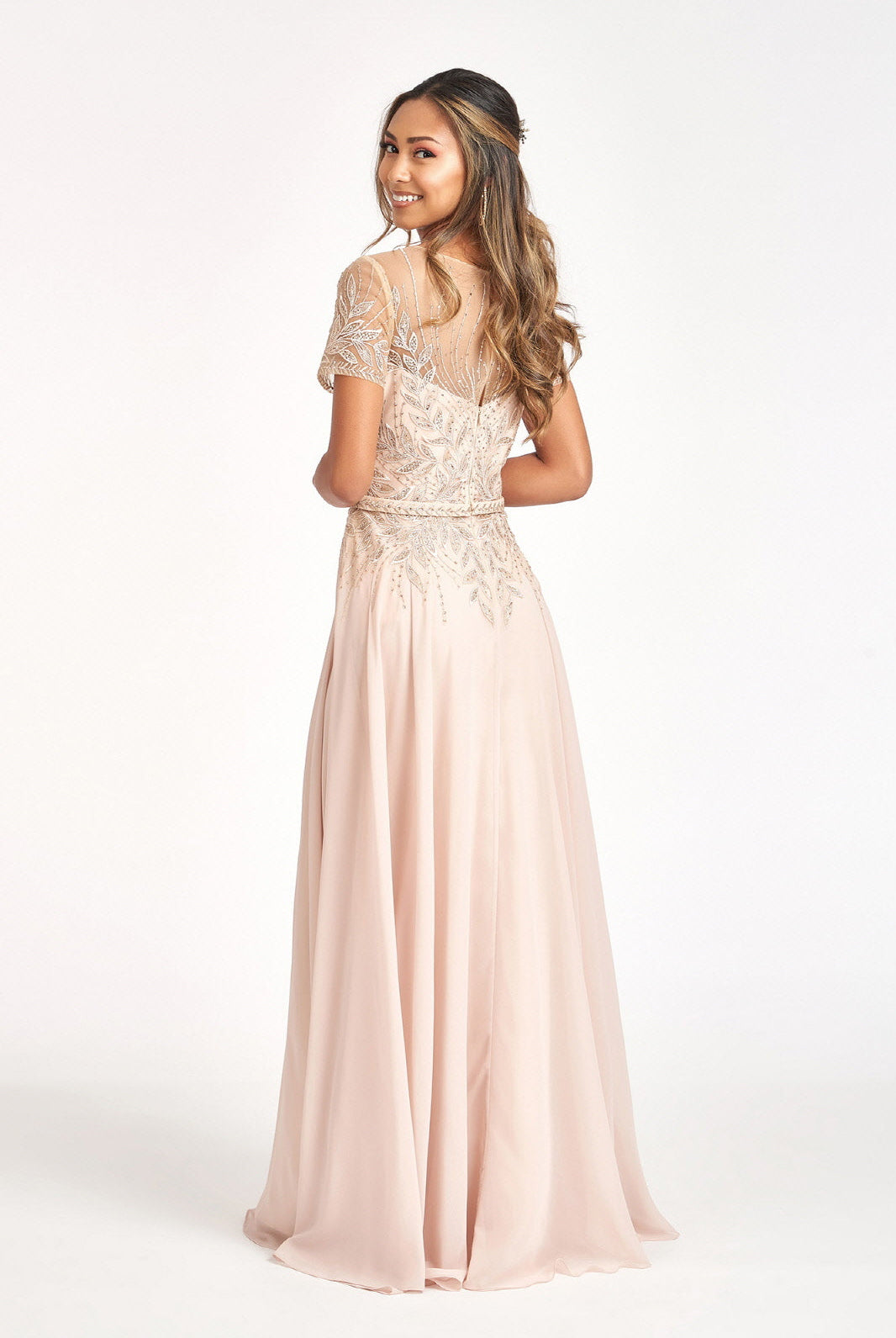 Embroidered Chiffon A-line Dress-smcdress