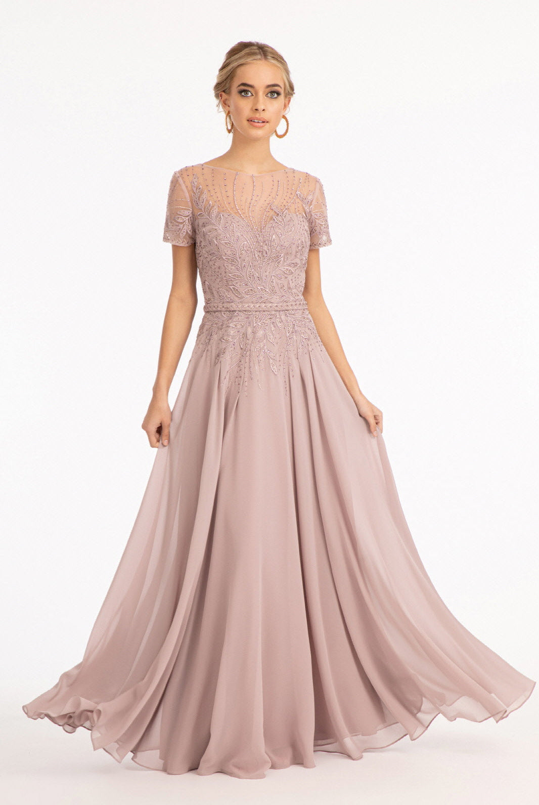 Embroidered Chiffon A-line Dress-smcdress