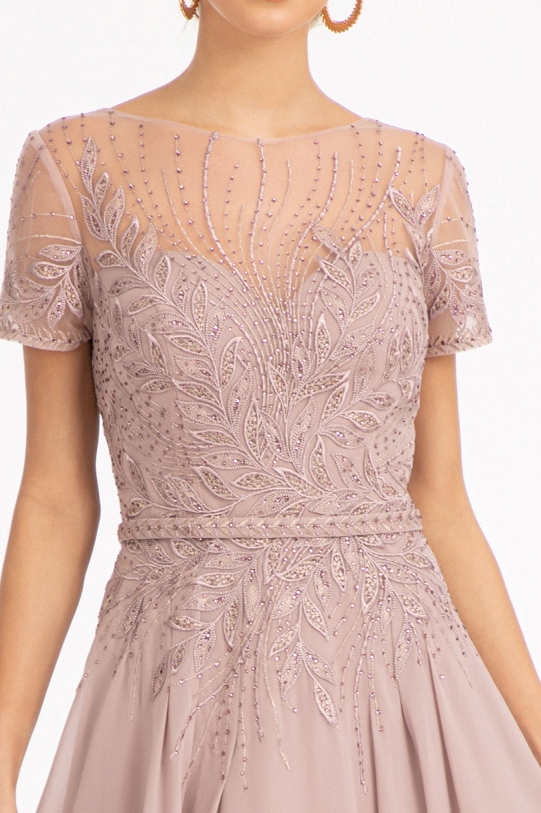 Embroidered Chiffon A-line Dress-smcdress