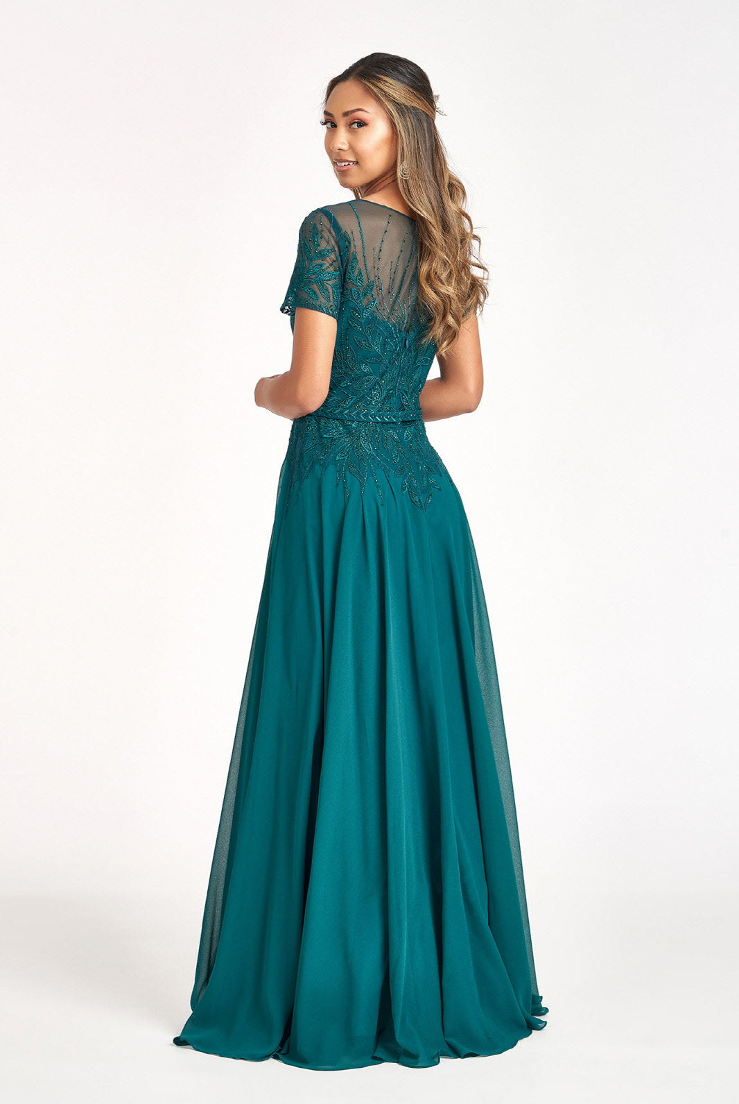Embroidered Chiffon A-line Dress-smcdress