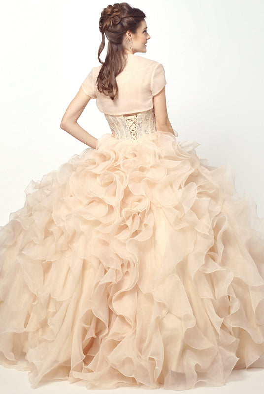 Beaded Corset Bodice with Organza Ruffle Skirt Ball Gown Quinceanera Dress-smcdress