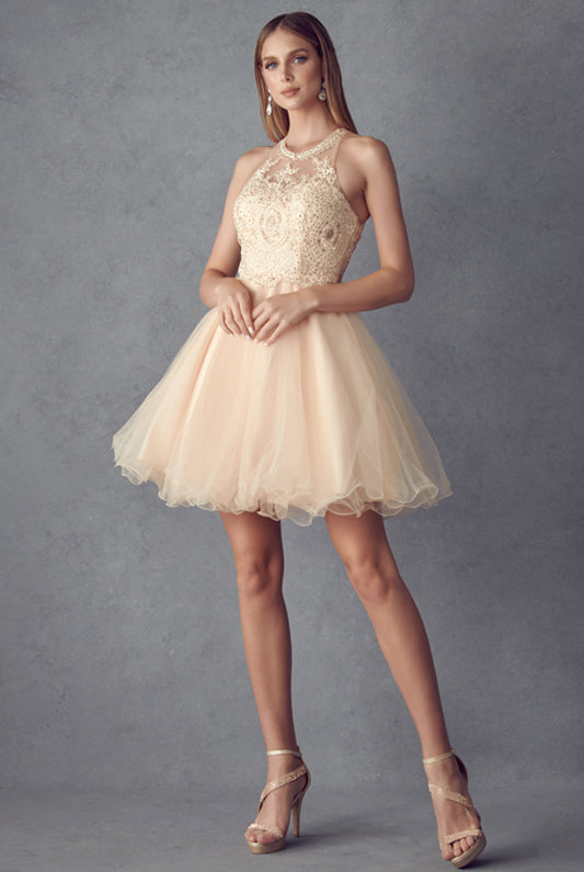 Short Fit & Flare Halter Dress for Cocktail & Homecoming-smcdress