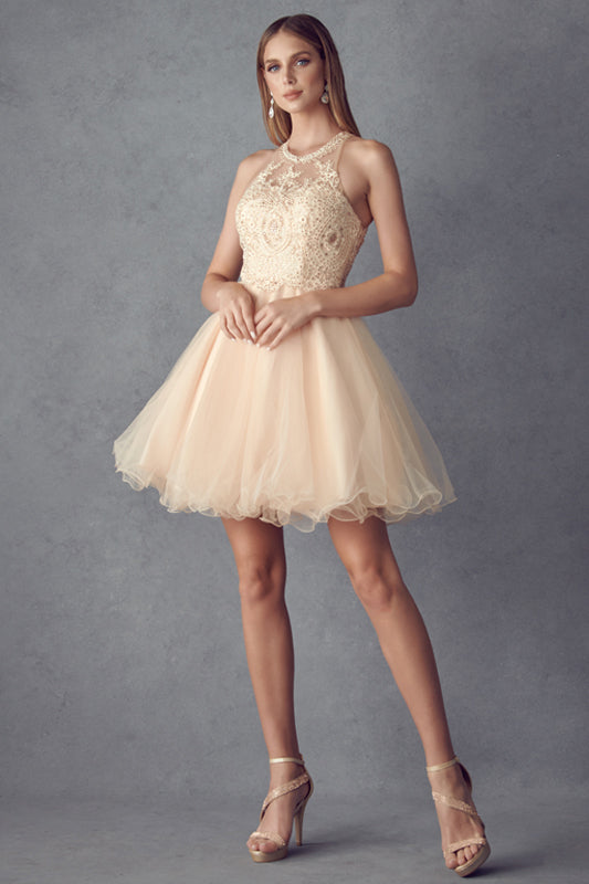 Short Fit & Flare Halter Dress for Cocktail & Homecoming-smcdress
