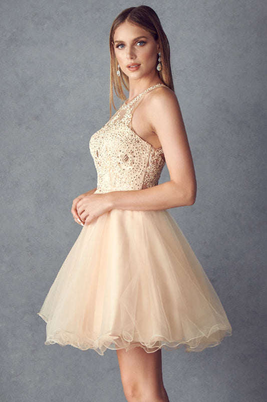 Short Fit & Flare Halter Dress for Cocktail & Homecoming-smcdress