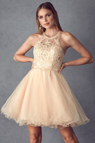 Short Fit & Flare Halter Dress for Cocktail & Homecoming-smcdress