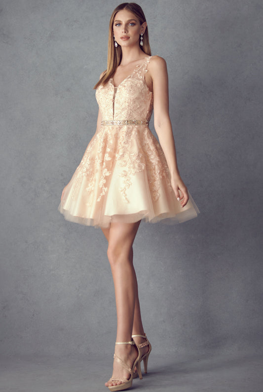 Floral lace appliqued short dress-smcdress