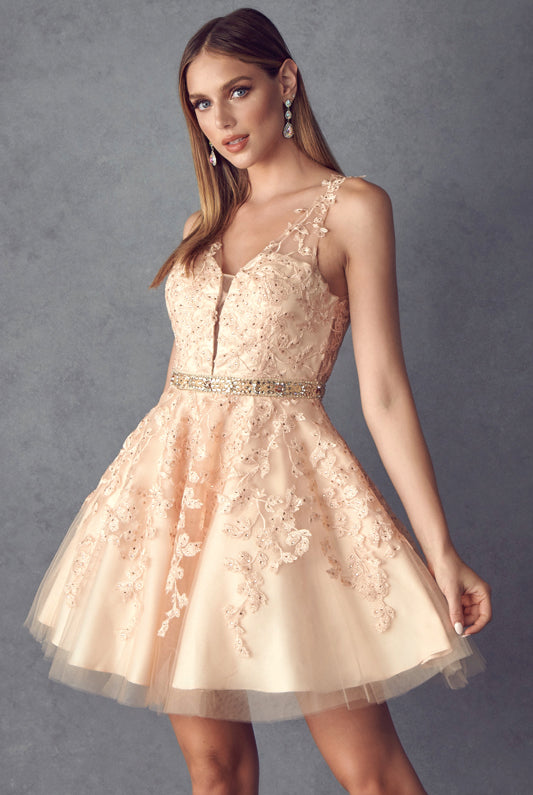 Floral Lace Appliqué Short Cocktail Dress-smcdress