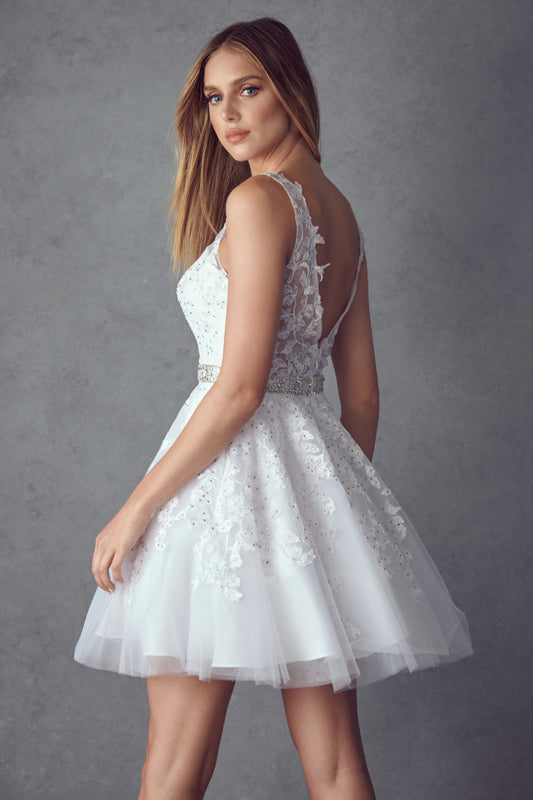 Floral lace appliqued short dress-smcdress