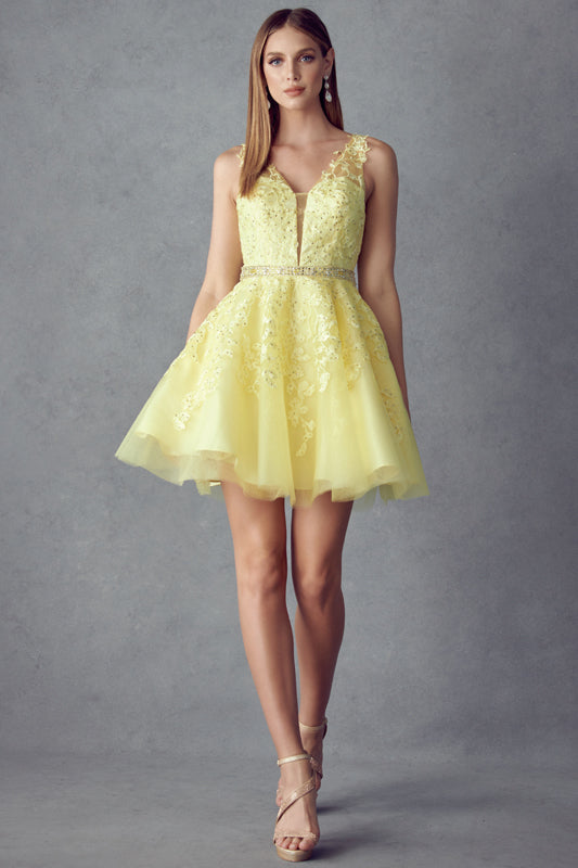 Floral lace appliqued short dress-smcdress