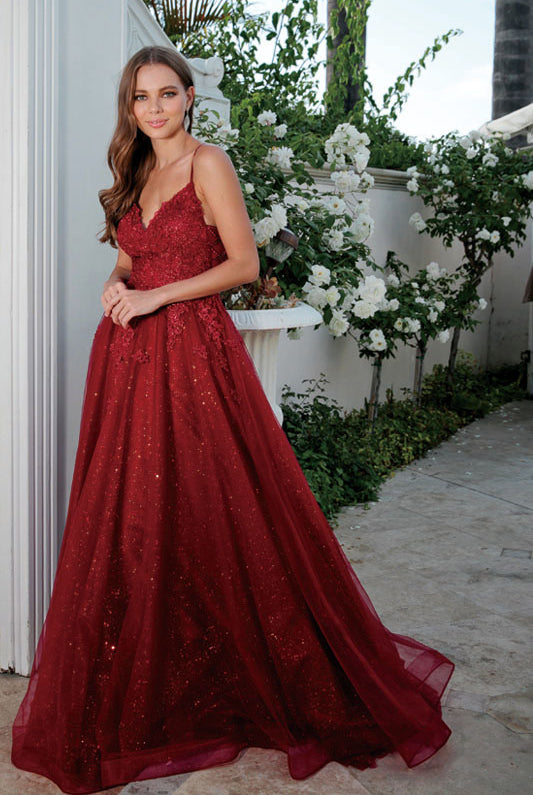 Embroidered bodice tulle prom ball gown-smcdress