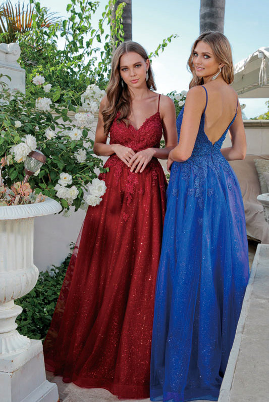 Embroidered bodice tulle prom ball gown-smcdress