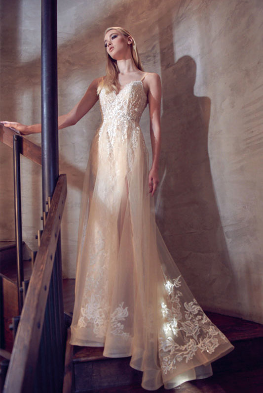 Spaghetti straps long train gown-smcdress