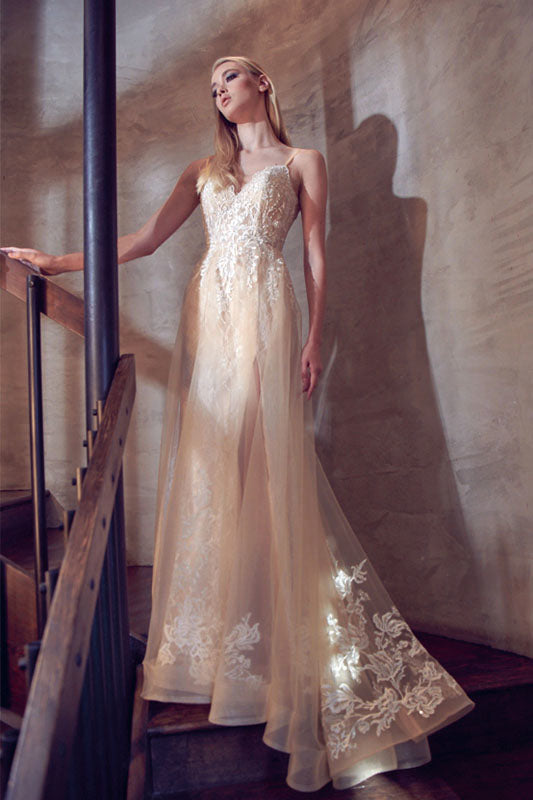 Spaghetti straps long train gown-smcdress