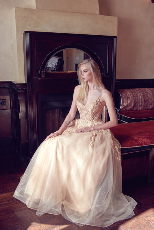 Open back ball gown-smcdress