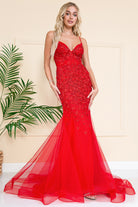 Mermaid Tulle Skirt Lace Prom Dress-smcdress