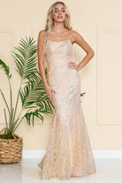Embroidered Lace Mermaid Prom Dress-smcdress