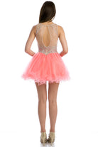 Embroidered Sequins Dress, Short & Sleeveless-smcdress