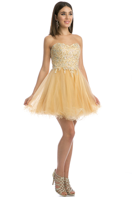 Embroidered Sweetheart Top Short Dress-smcdress