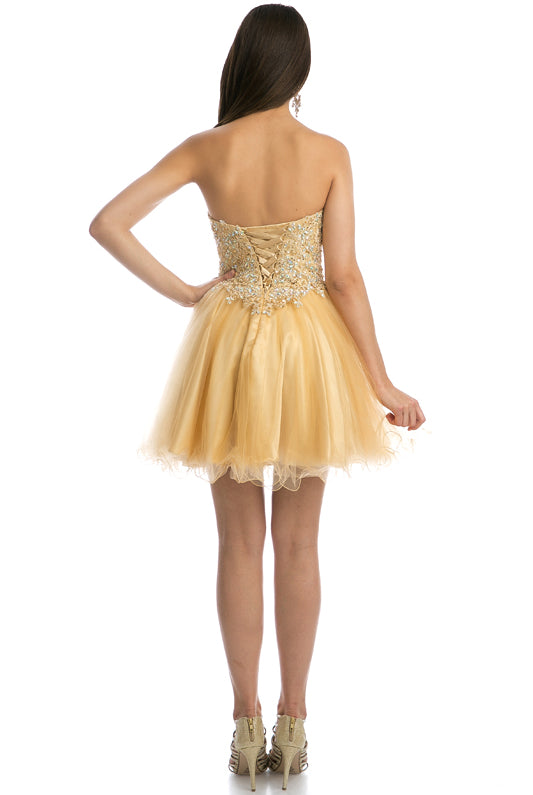 Embroidered Sweetheart Top Short Dress-smcdress