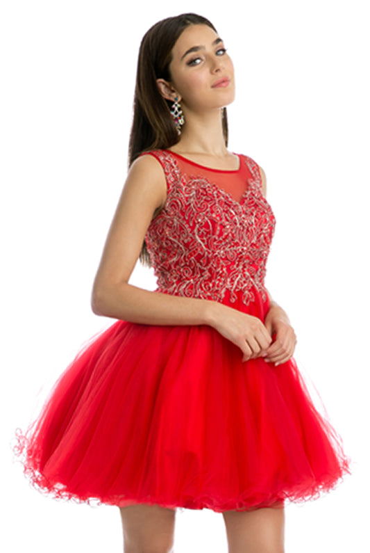 Embroidered Bodice Tulle Skirt Dress, Short. For Cocktail & Homecoming-smcdress