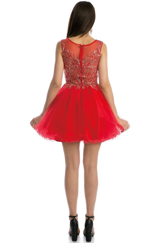 Embroidered Bodice Tulle Skirt Dress, Short. For Cocktail & Homecoming-smcdress
