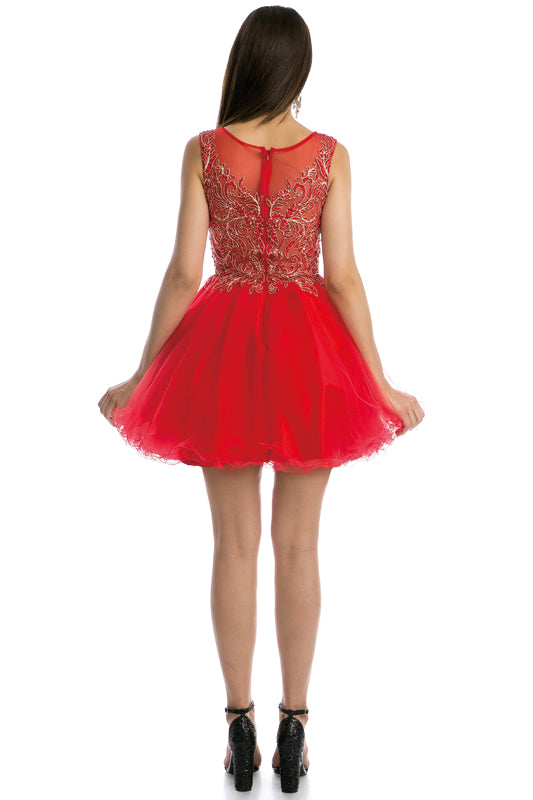Embroidered Bodice Tulle Skirt Dress, Short. For Cocktail & Homecoming-smcdress