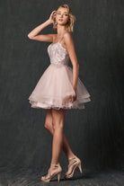 Layered skirt short dress-smcdress