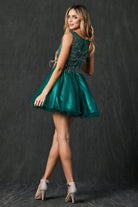 Embroidered Bodice Tulle Skirt Dress, Short. For Cocktail & Homecoming-smcdress