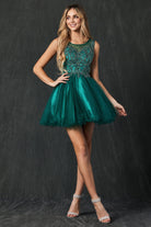Embroidered Bodice Tulle Skirt Dress, Short. For Cocktail & Homecoming-smcdress