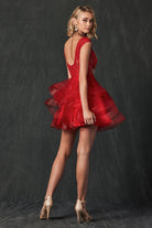Lace Applique Bodice Dress for Cocktail & Homecoming-smcdress