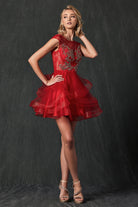 Lace Applique Bodice Dress for Cocktail & Homecoming-smcdress
