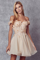 Embroidered Off-Shoulder Dress-smcdress