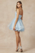 Layered skirt short dress-smcdress