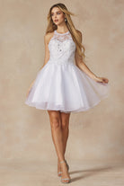 Short Fit & Flare Halter Dress for Cocktail & Homecoming-smcdress