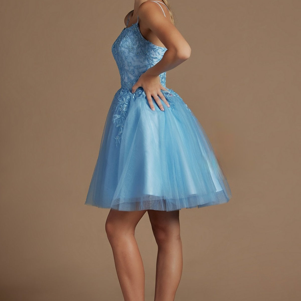 Embroidered Babydoll Corset Short Dress for Homecoming & Cocktail