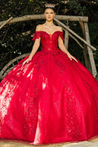 Red lace train prom dress