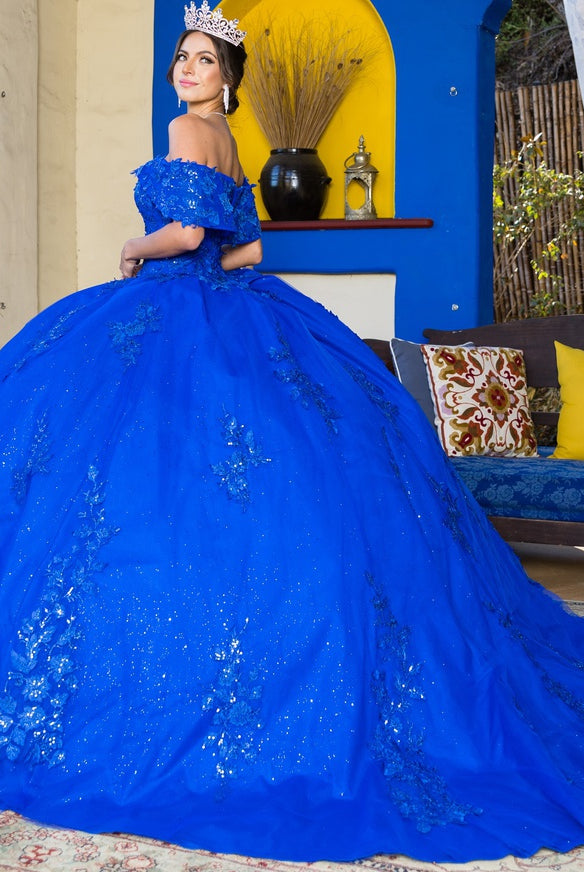 Royal lace train prom dress alternative