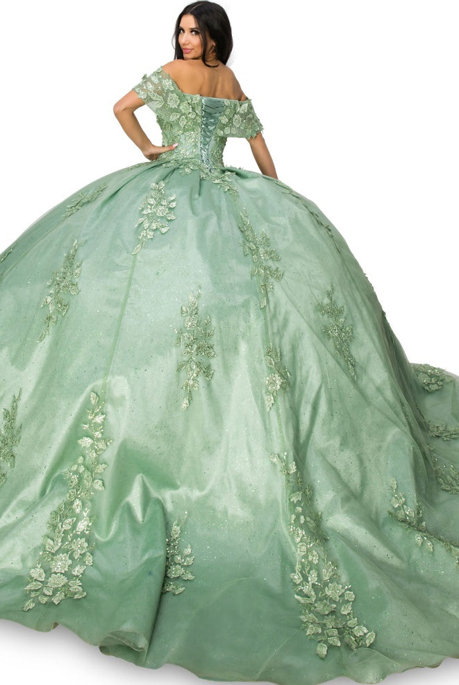 Back of sage lace train prom dress