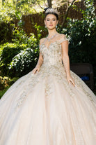 A closer look at champagne quinceanera gown dress