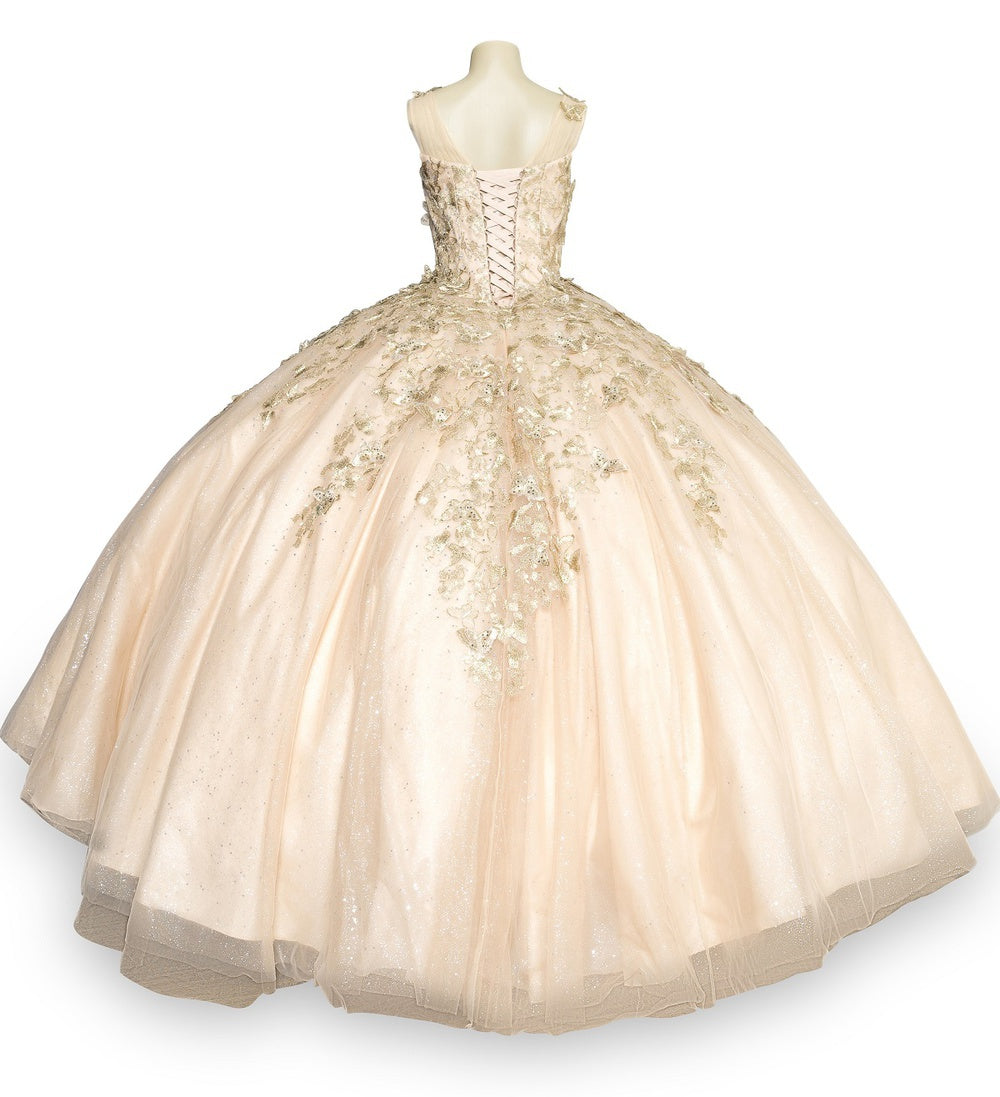 Back of champagne quinceanera gown dress