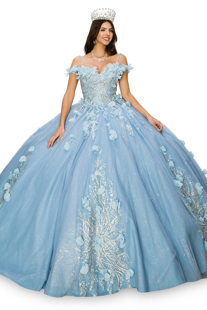 Blue floral applique ball gown alternative
