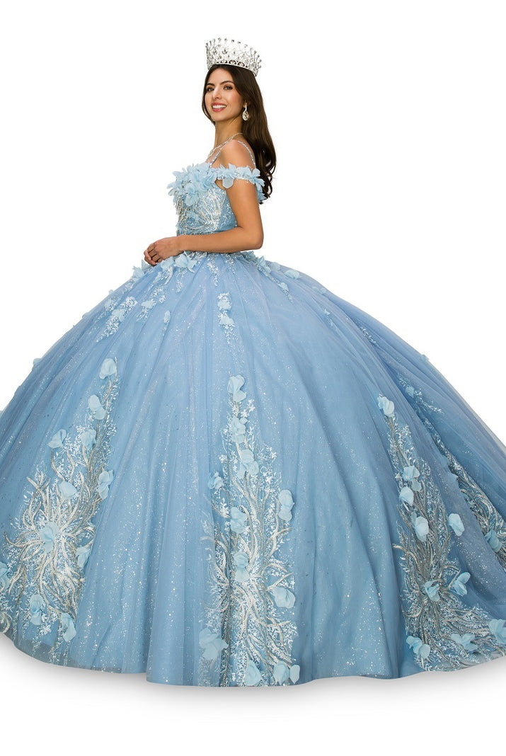 Blue floral applique ball gown alternative