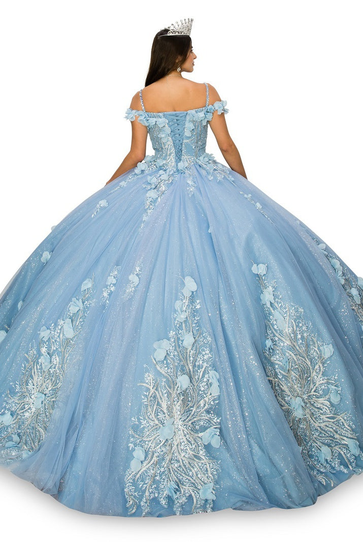 Back of the blue floral applique ball gown